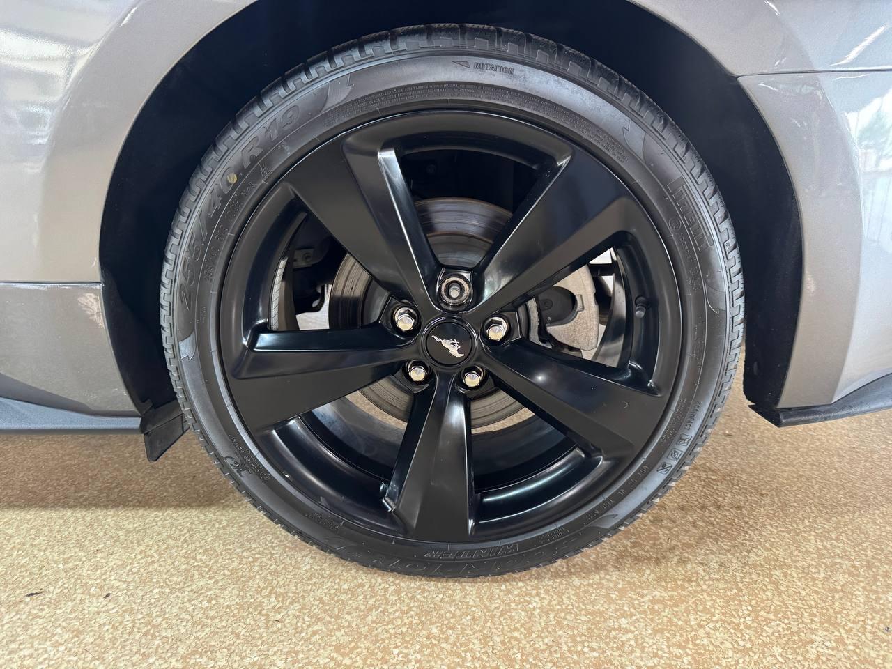 Ford Mustang EcoBoost Fastback 2022