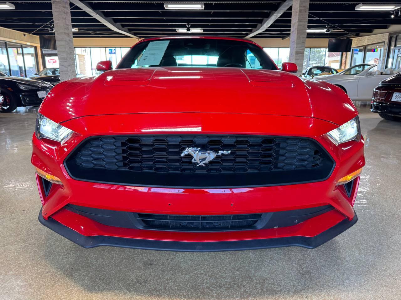 Ford Mustang EcoBoost Convertible 2023