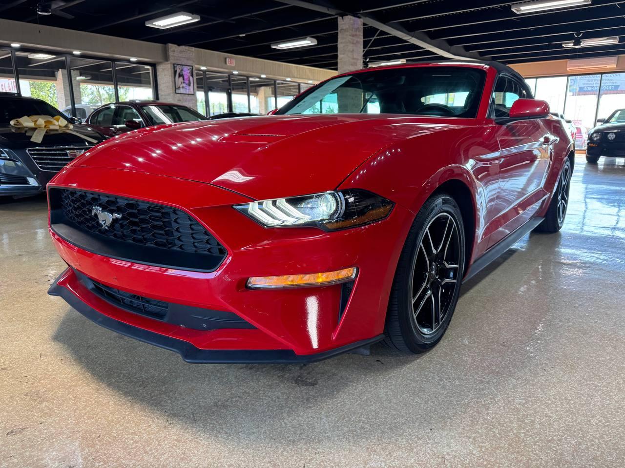 Ford Mustang EcoBoost Convertible 2023