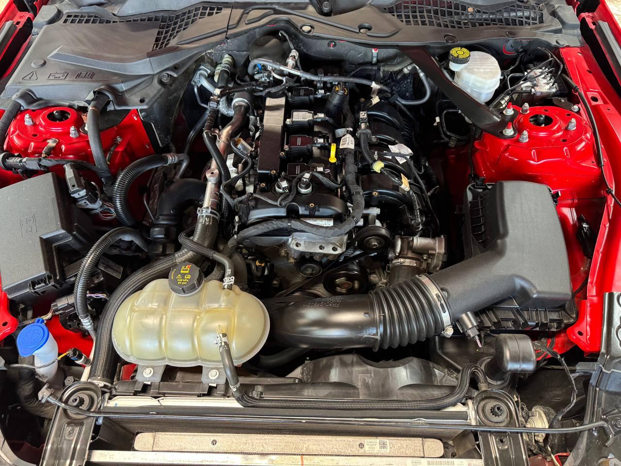 Ford Mustang EcoBoost Convertible 2023