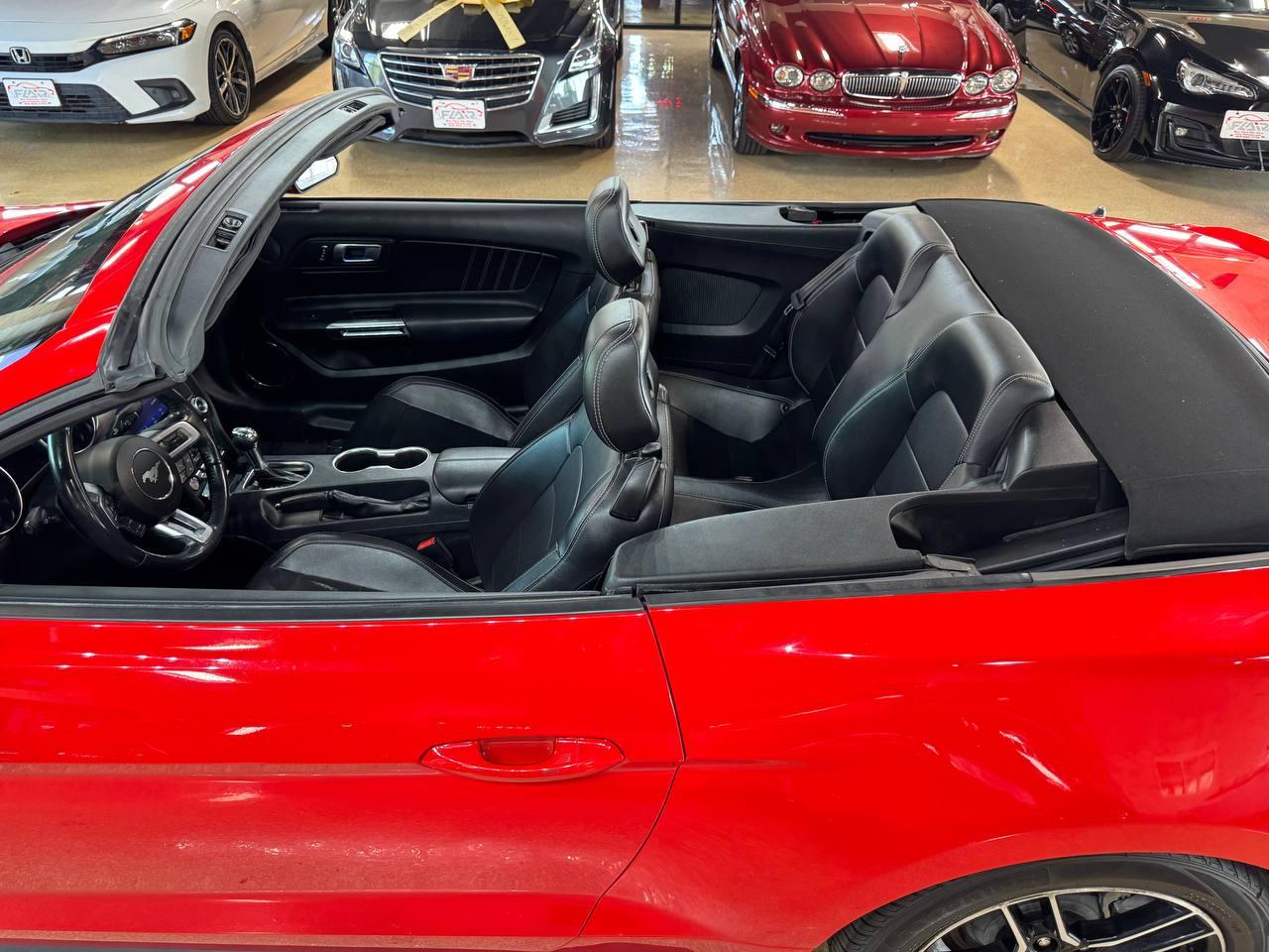 Ford Mustang EcoBoost Convertible 2023