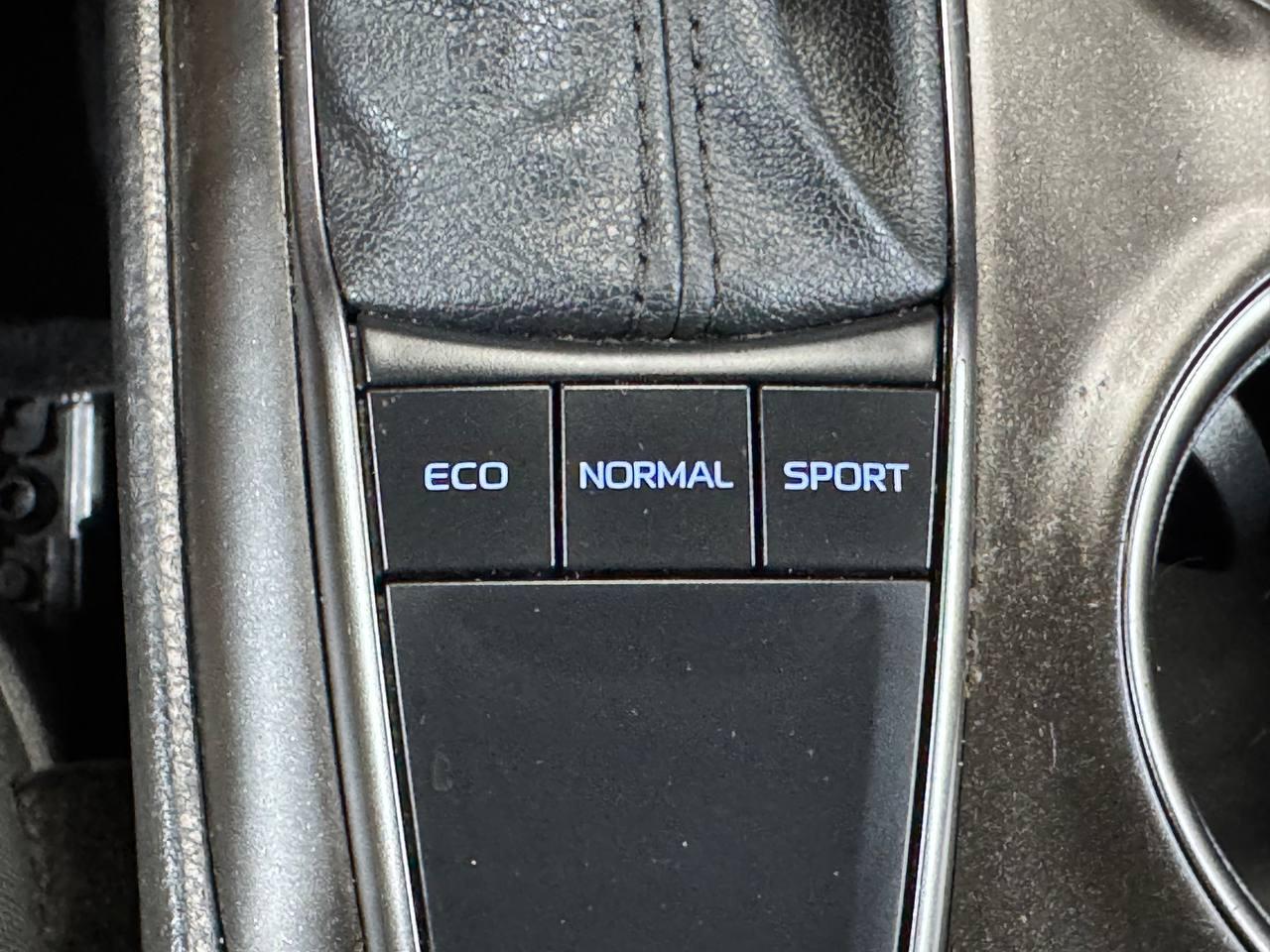 Toyota Camry SE Auto (Natl) 2022