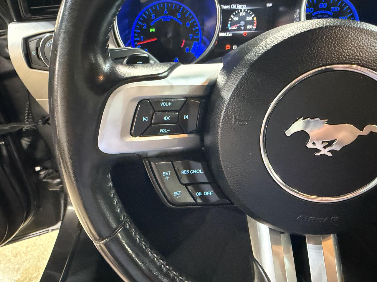 Ford Mustang GT Fastback 2019