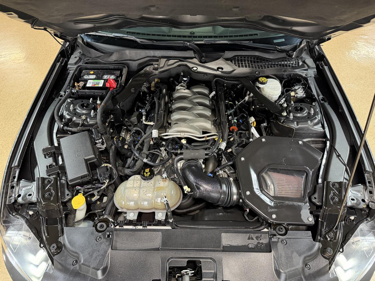 Ford Mustang GT Fastback 2019