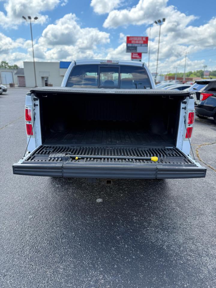 Ford F-150 4WD SuperCrew 145" Platinum 2014