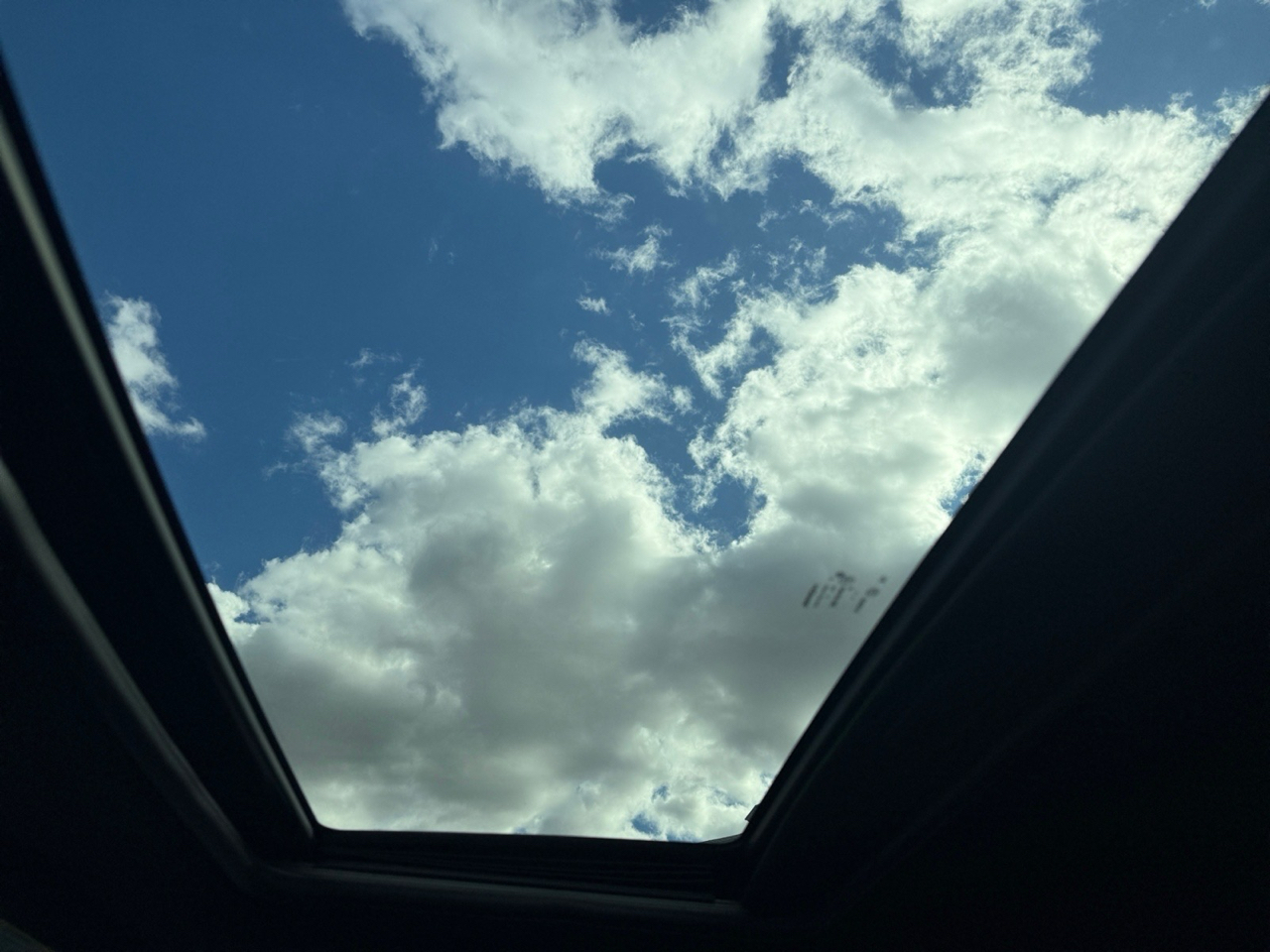 Dodge Challenger SXT 2019