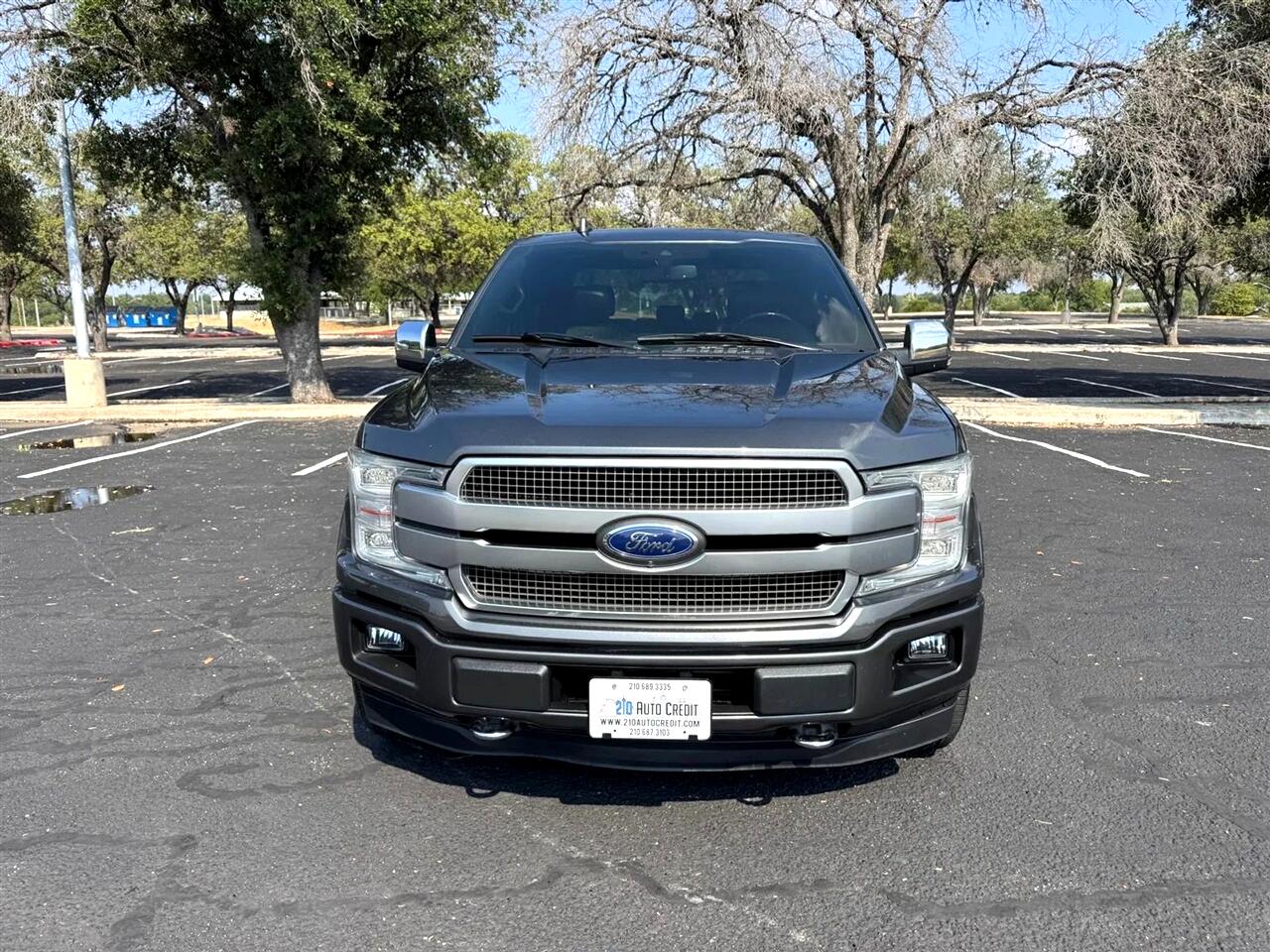 2019 Ford F-150 Platinum photo 3