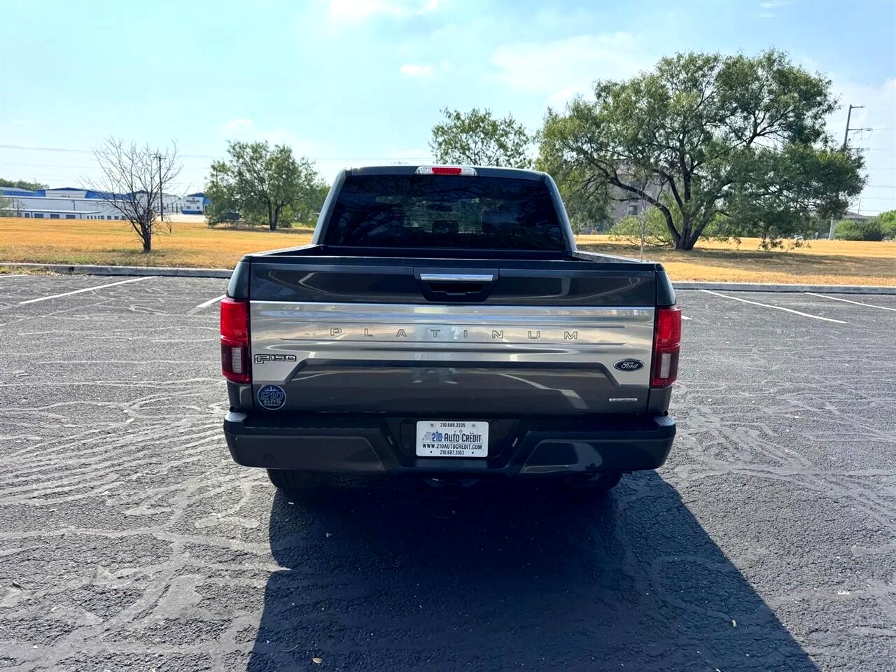 2019 Ford F-150 Platinum photo 7