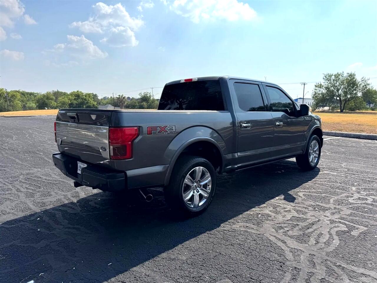 2019 Ford F-150 Platinum photo 8