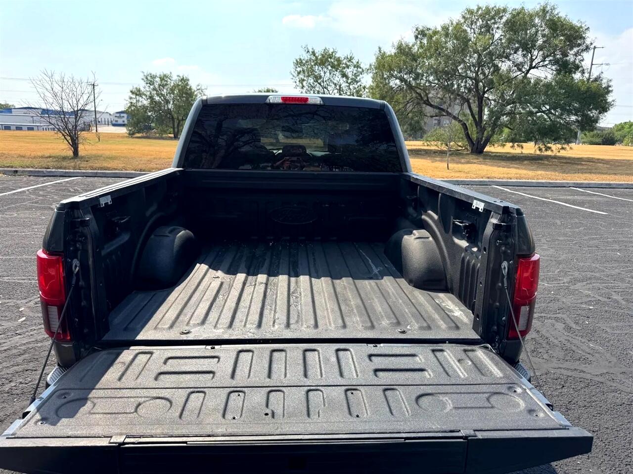 2019 Ford F-150 Platinum photo 11