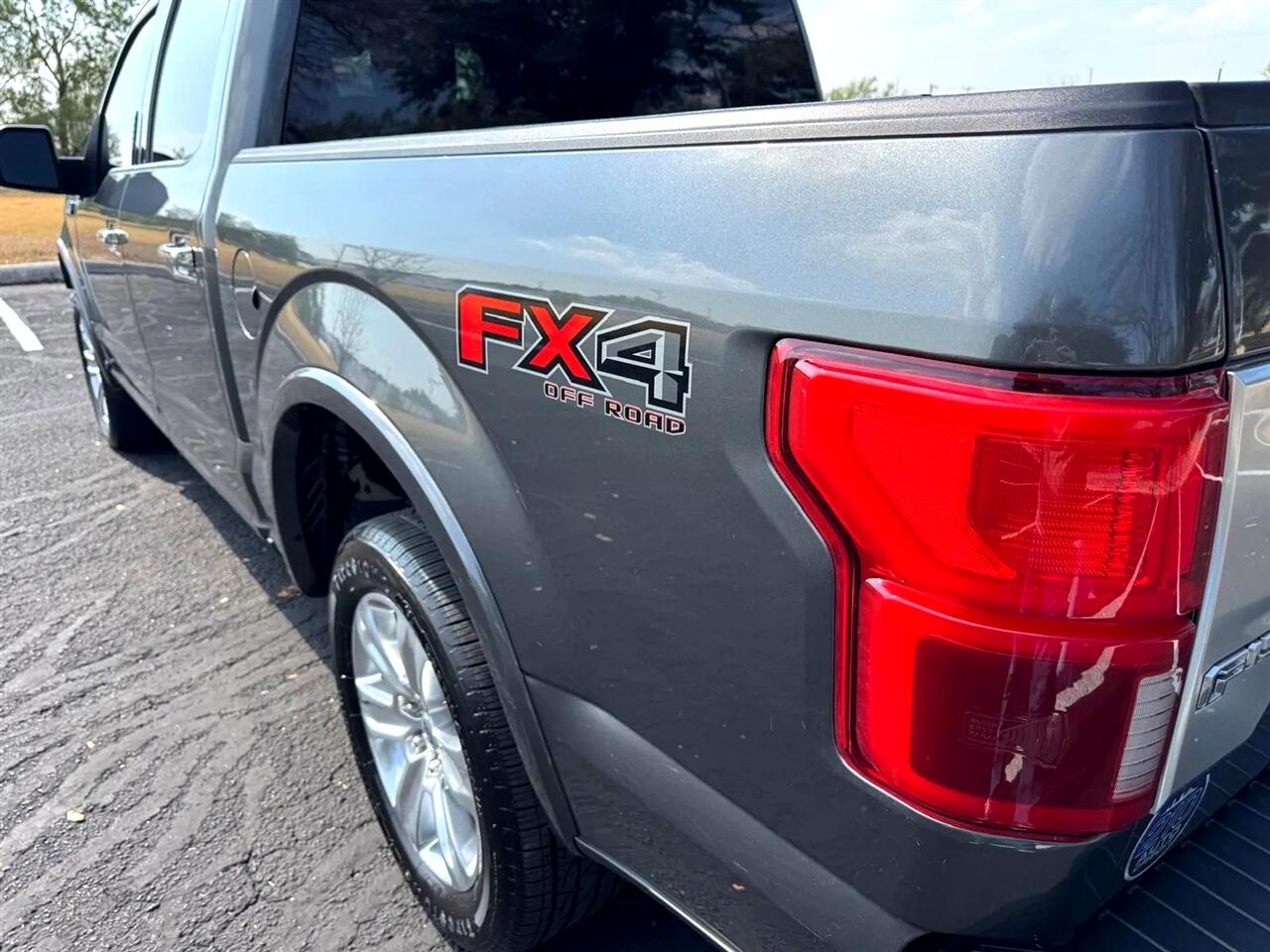2019 Ford F-150 Platinum photo 13