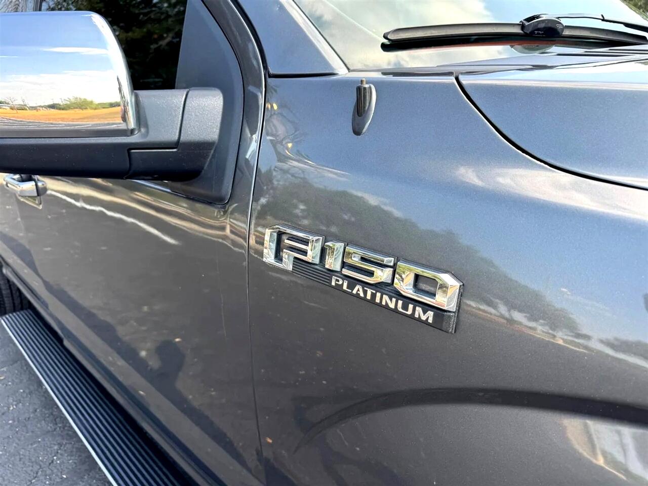 2019 Ford F-150 Platinum photo 15