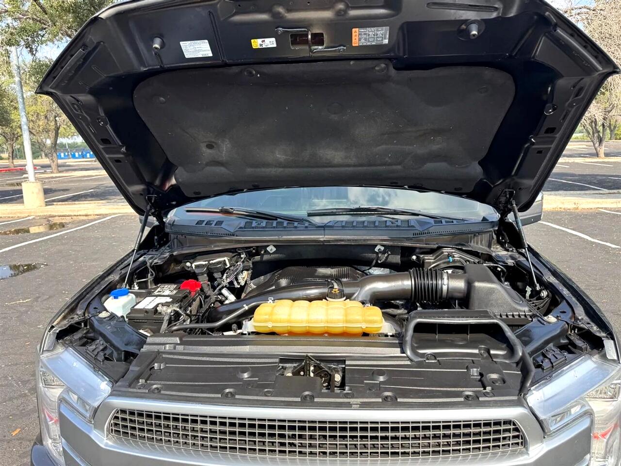 2019 Ford F-150 Platinum photo 18