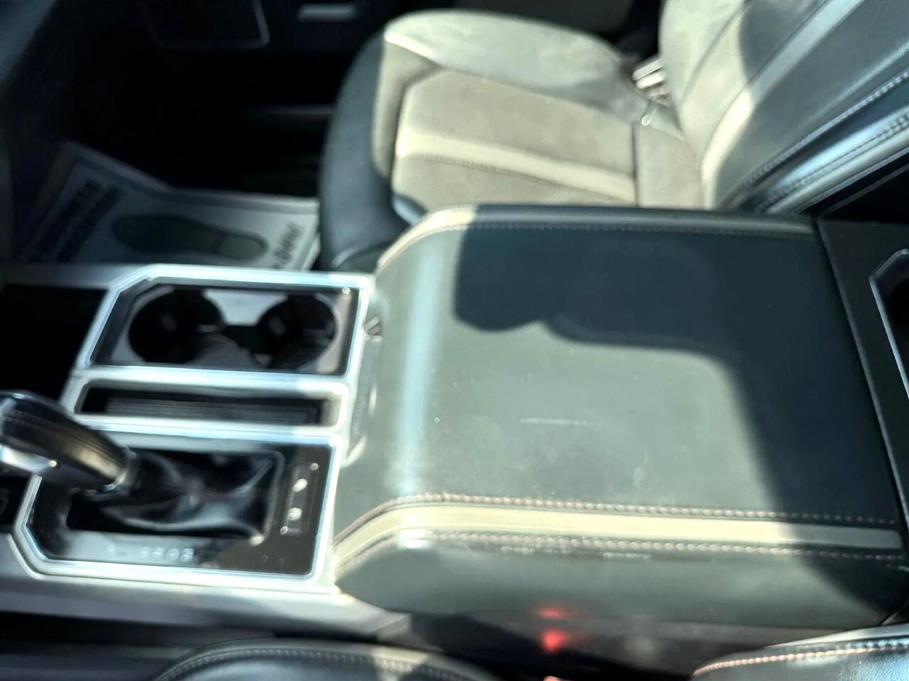2019 Ford F-150 Platinum photo 38
