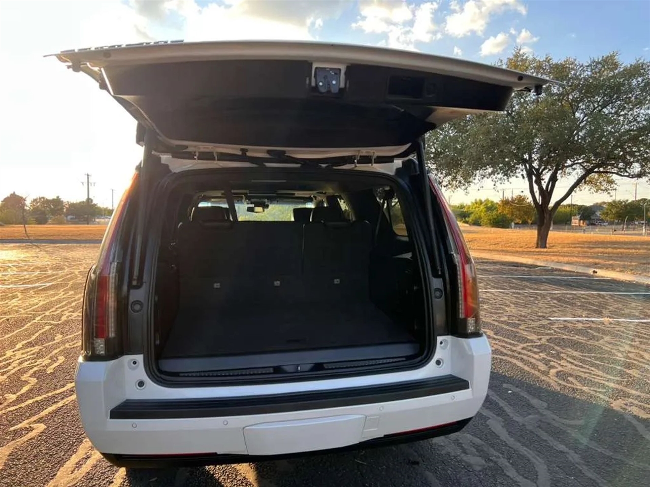 Cadillac Escalade  2019 Cadillac Escalade  2019