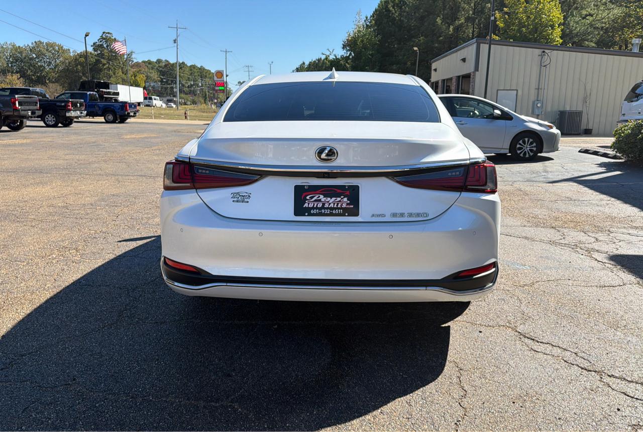 Lexus ES 250 Premium 2024