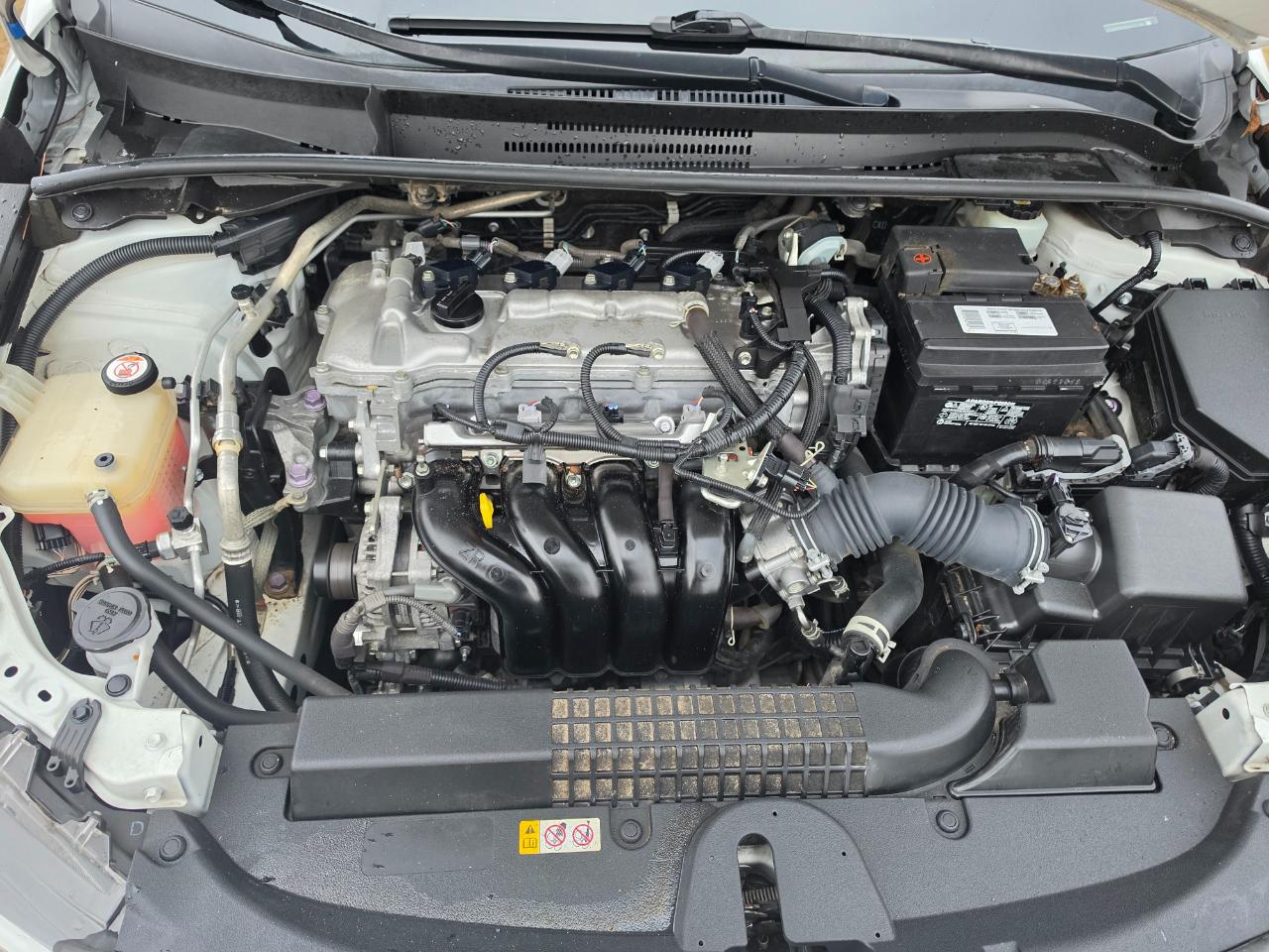 Toyota Corolla LE 2021
