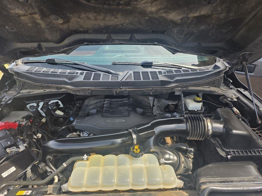 Ford F-150 XL SuperCrew 6.5-ft. Bed 4WD 2021