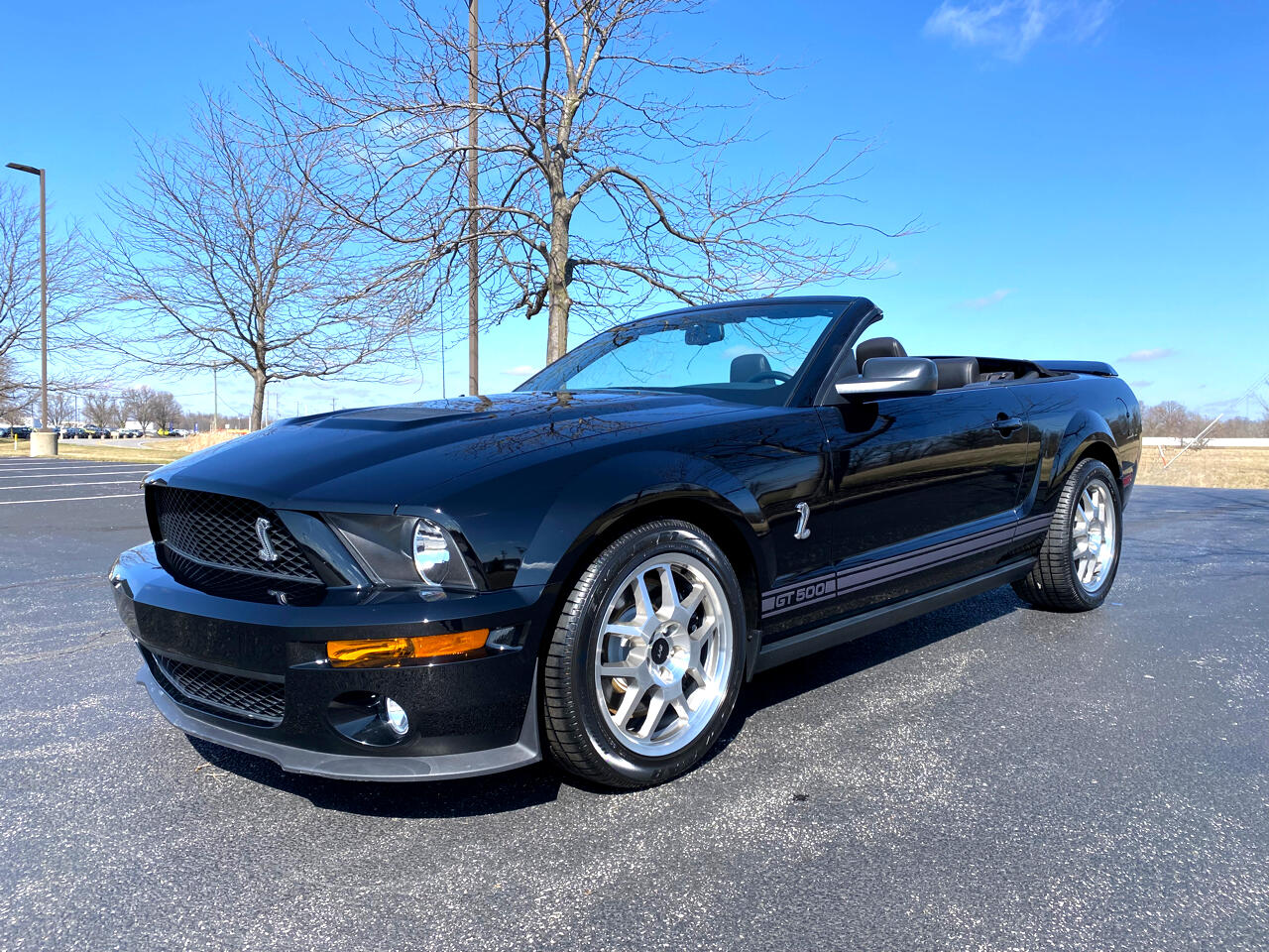 Ford Shelby GT500 Convertible 2007