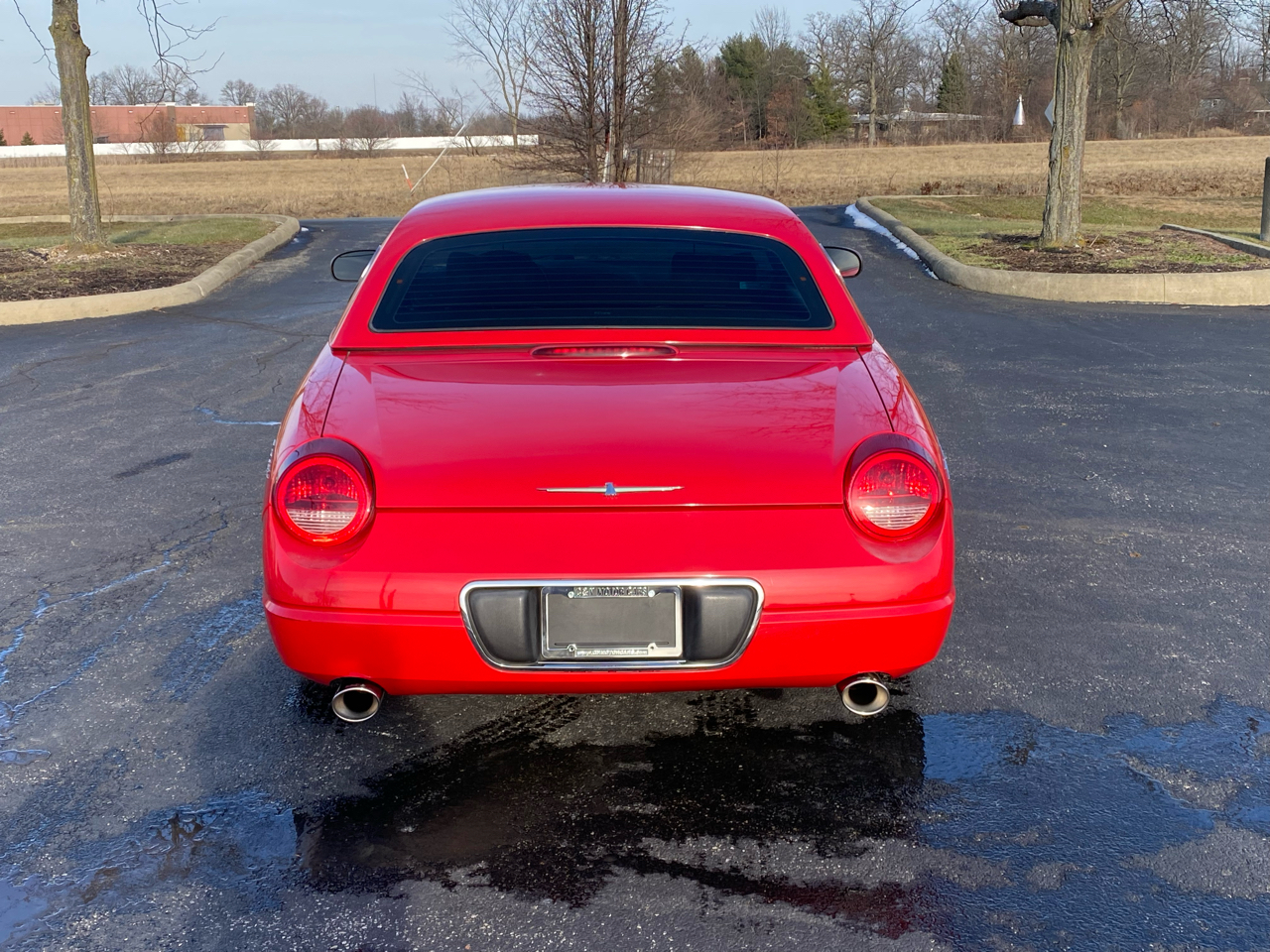 Ford Thunderbird Deluxe 2002