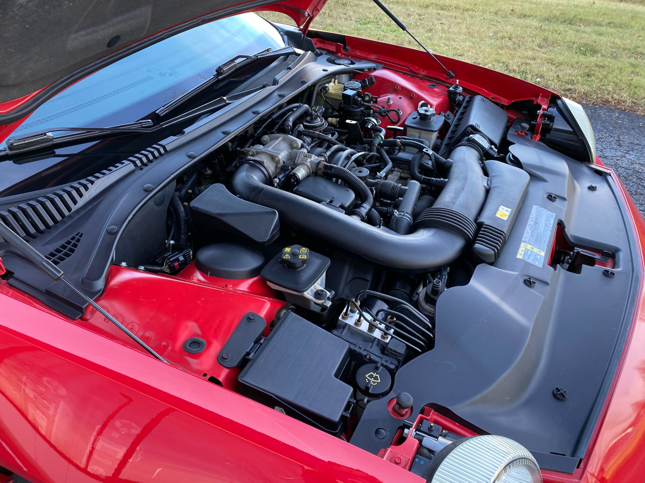 Ford Thunderbird Deluxe 2002