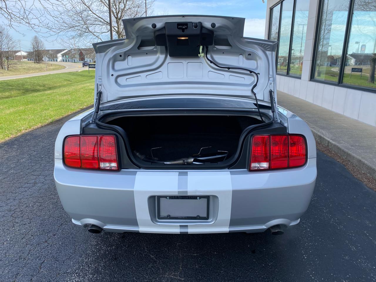 Ford Mustang GT Deluxe Coupe 2005