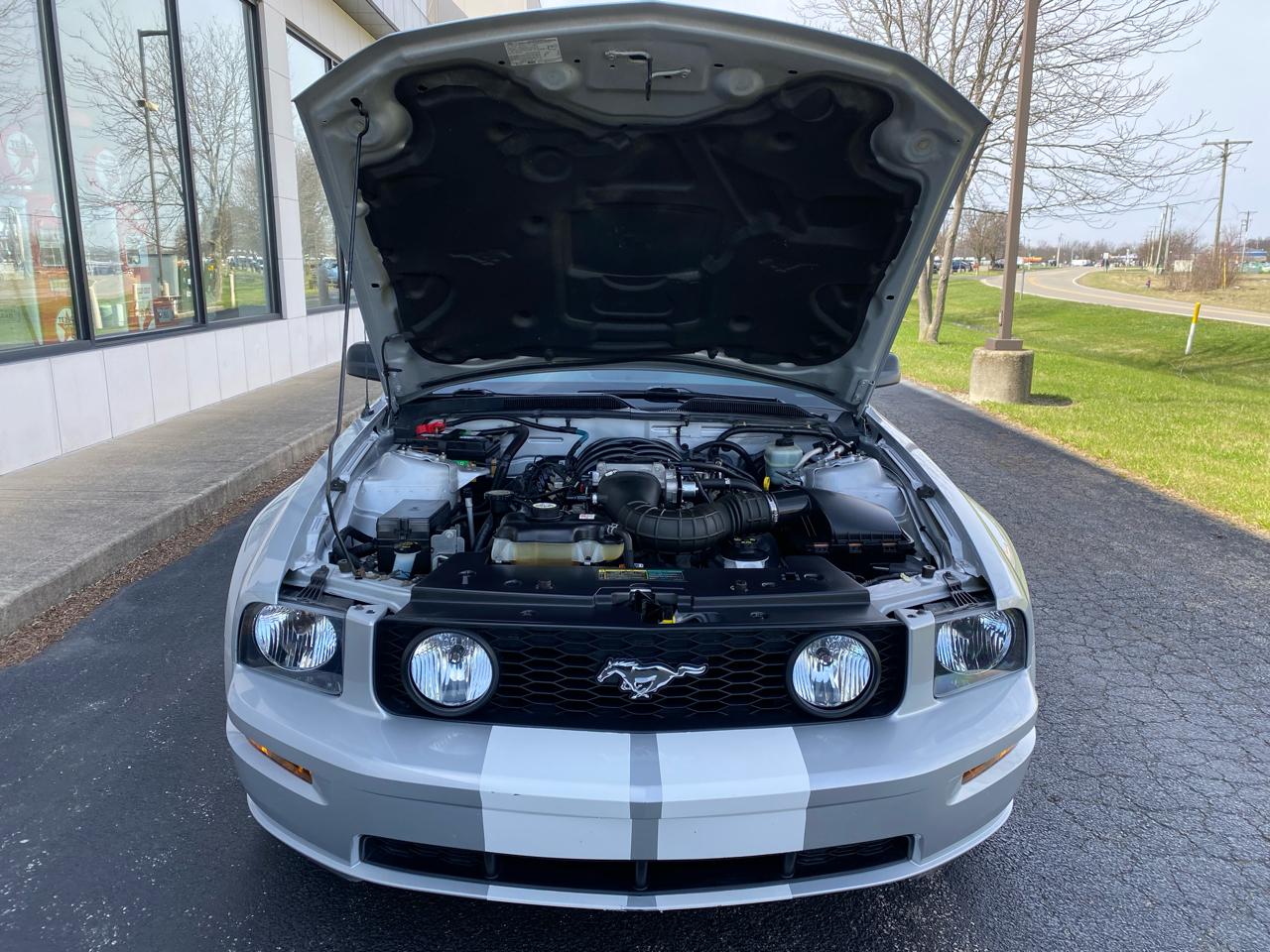Ford Mustang GT Deluxe Coupe 2005
