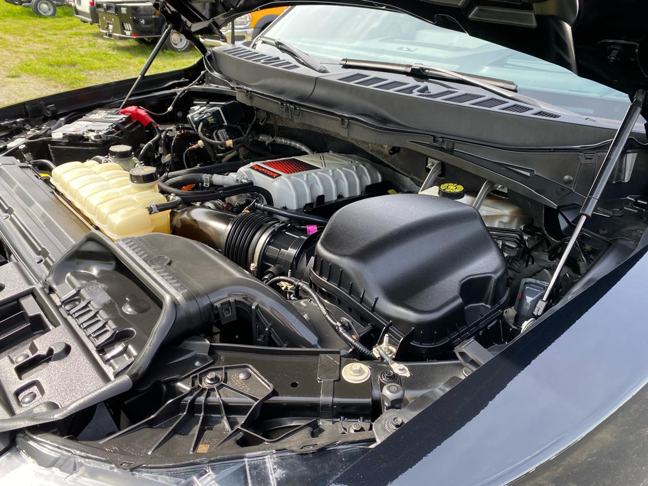 Ford F-150 Raptor SuperCrew 4WD 2024