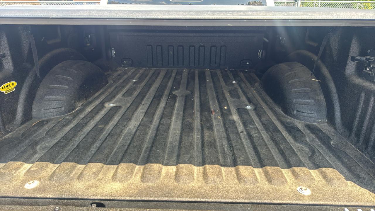 Ford F-250 SD Platinum Crew Cab 4WD 2017