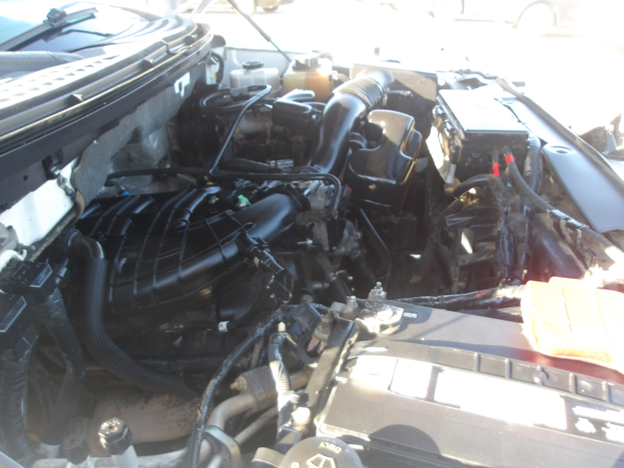 Ford F-150 2WD SuperCrew 145" XLT 2013