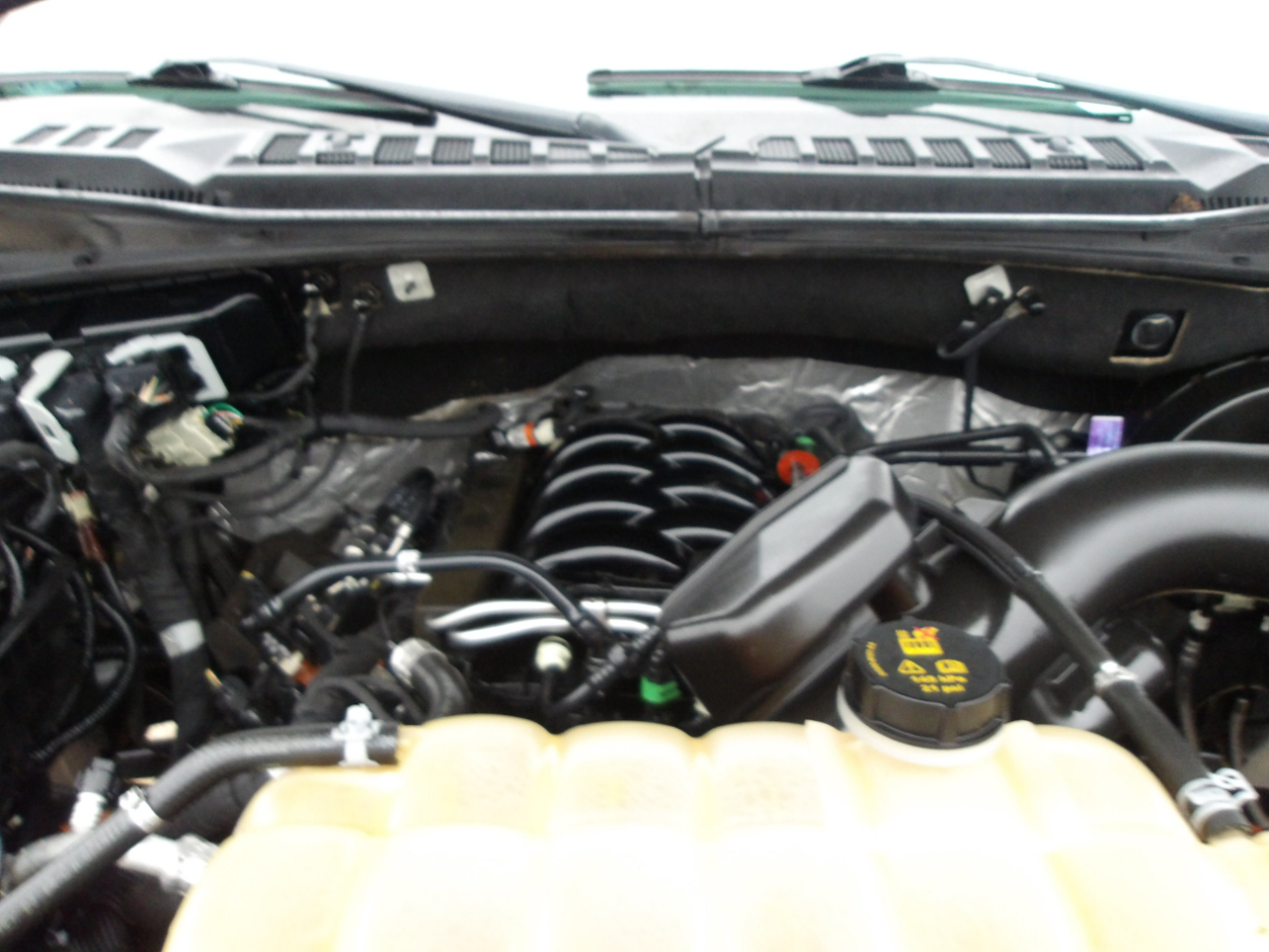 Ford F-150 XLT 2WD SuperCrew 5.5' Box 2018