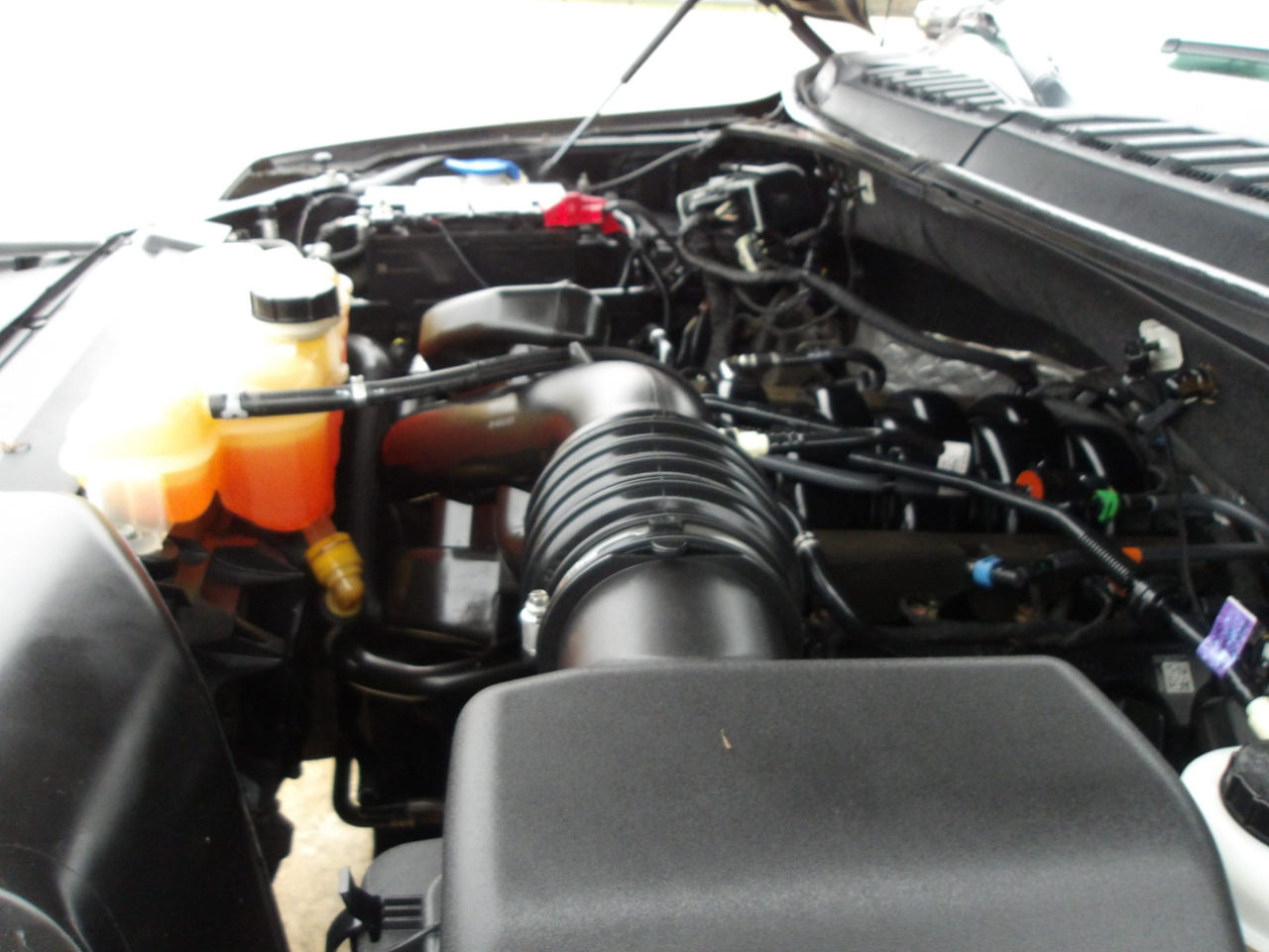 Ford F-150 XLT 2WD SuperCrew 5.5' Box 2018