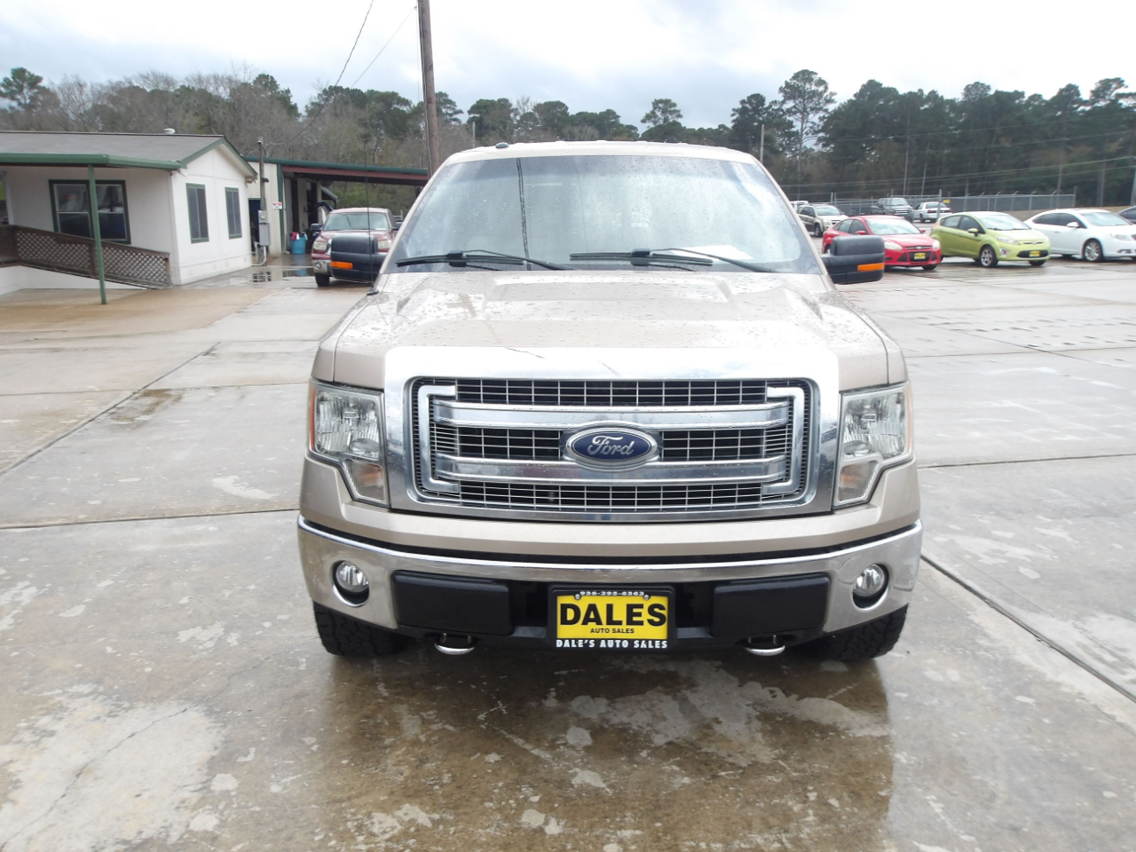 Ford F-150 4WD SuperCrew 145" XLT 2014