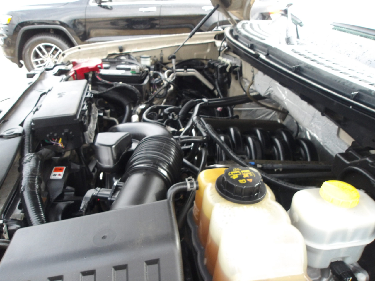 Ford F-150 4WD SuperCrew 145" XLT 2014