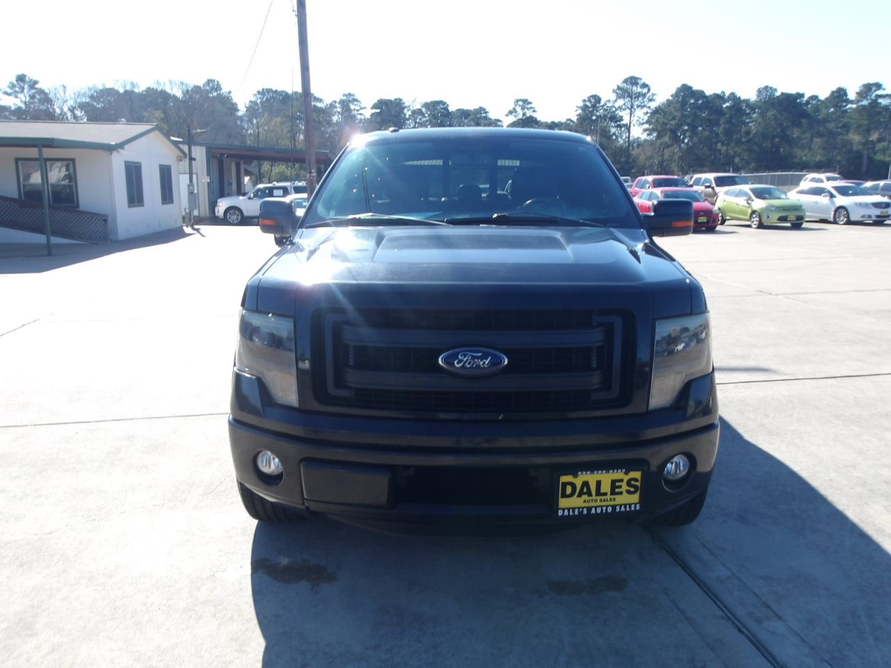 Ford F-150 2WD SuperCrew 145" FX2 Sport 2013
