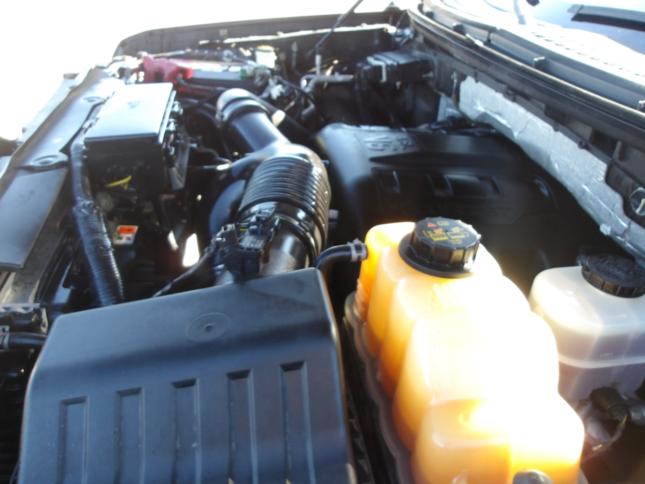 Ford F-150 2WD SuperCrew 145" FX2 Sport 2013