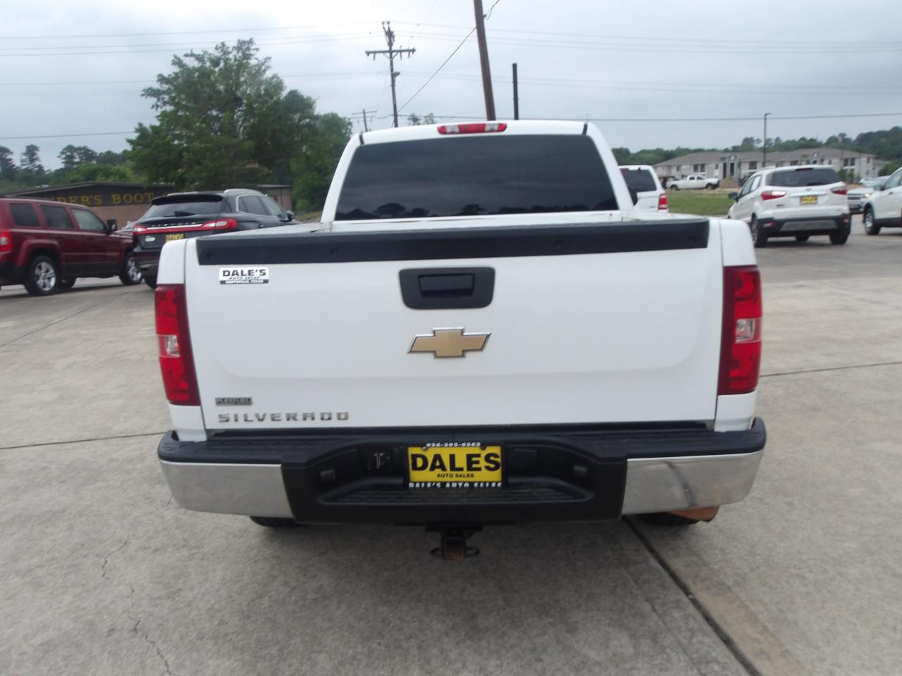 Chevrolet Silverado 1500 2WD Ext Cab 143.5" Work Truck 2010