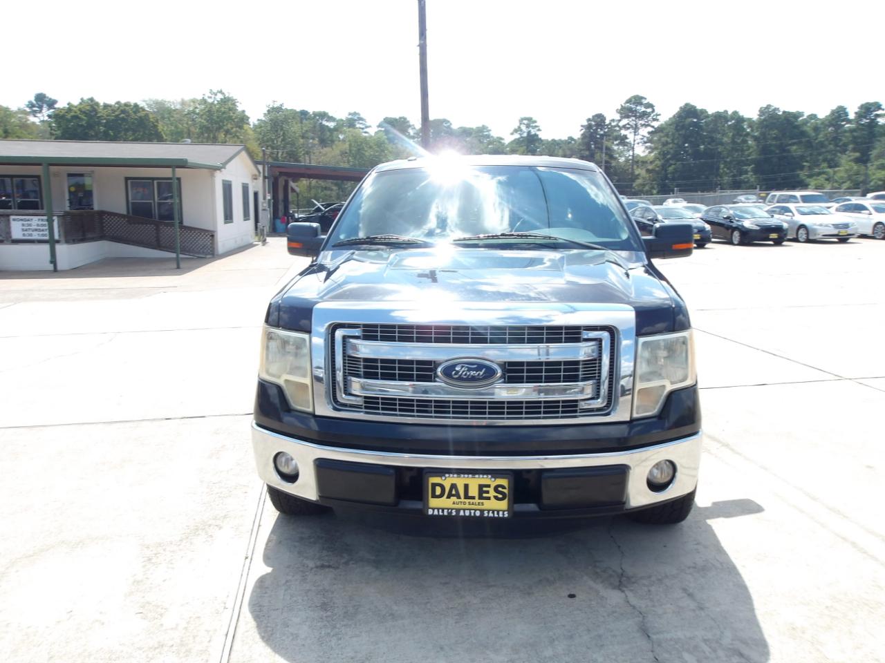 Ford F-150 2WD SuperCrew 145" XLT 2013