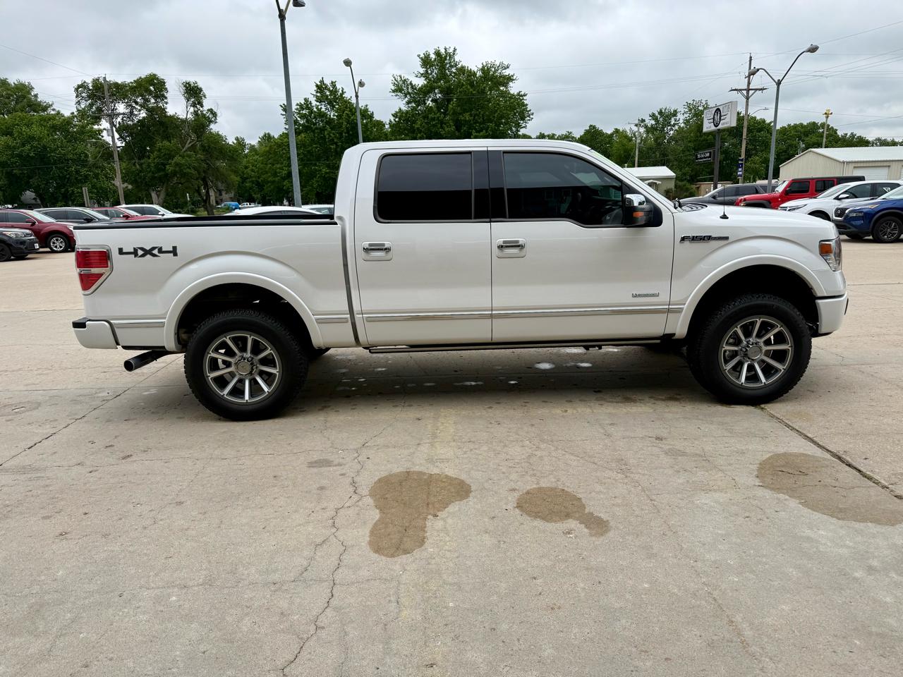 Ford F-150 Platinum 2013