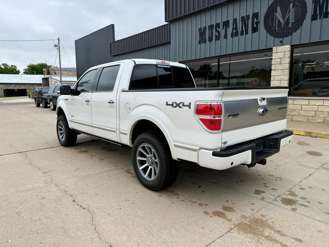Ford F-150 Platinum 2013