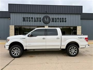 2013 Ford F-150 Platinum
