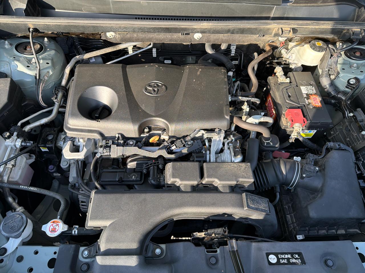 Toyota RAV4 XLE 2019