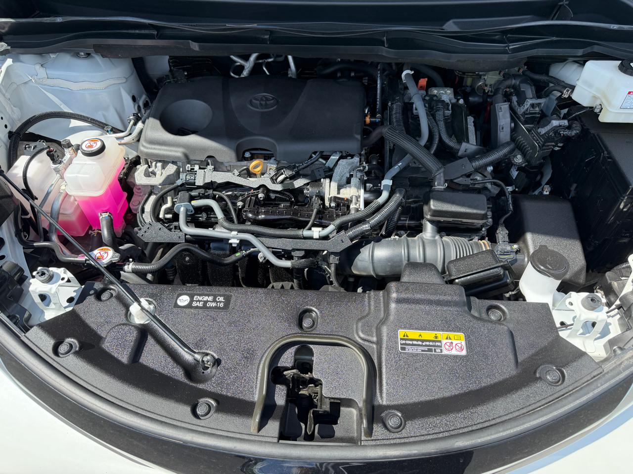 Toyota Sienna  2021