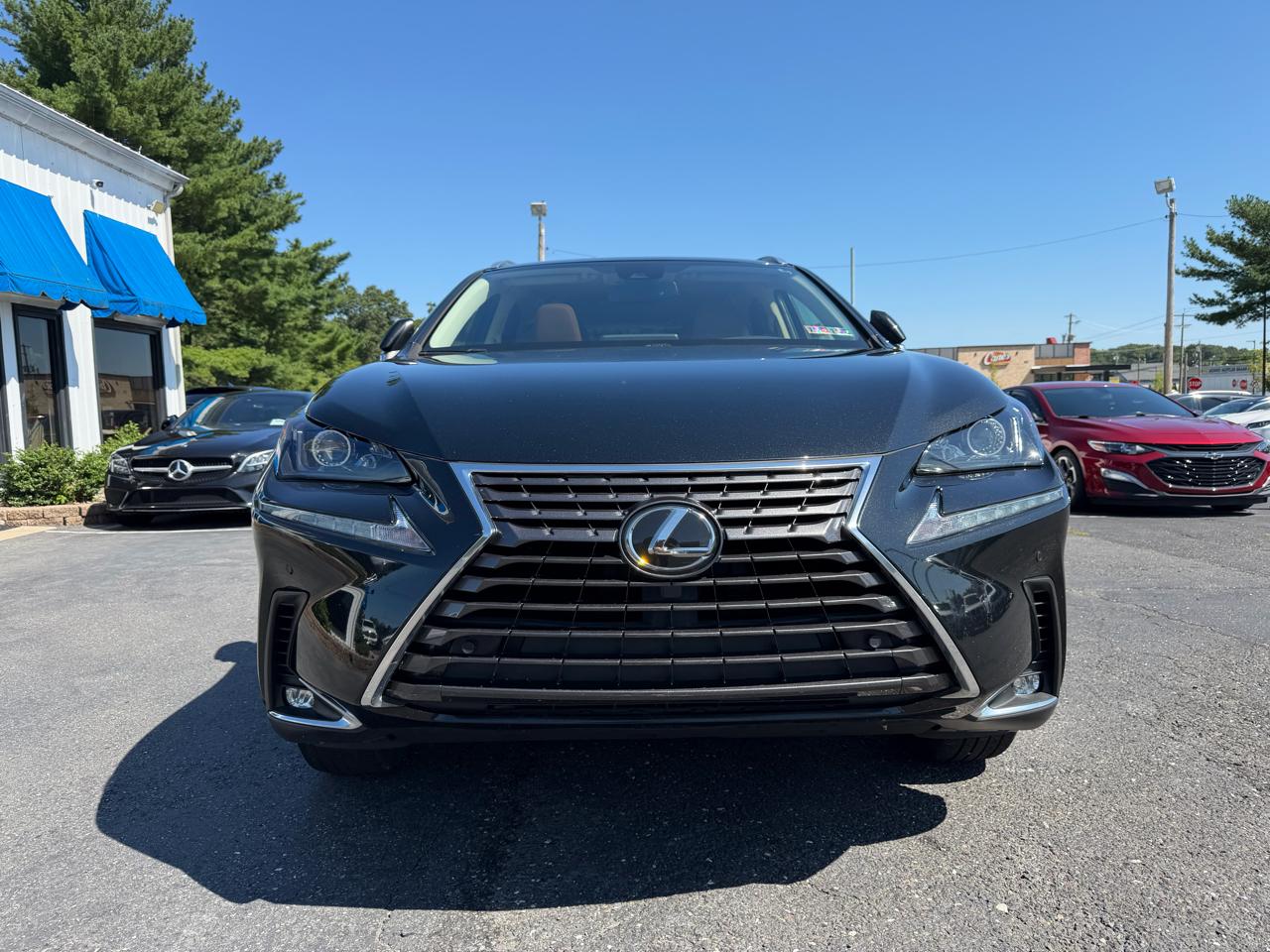 Lexus NX  2021