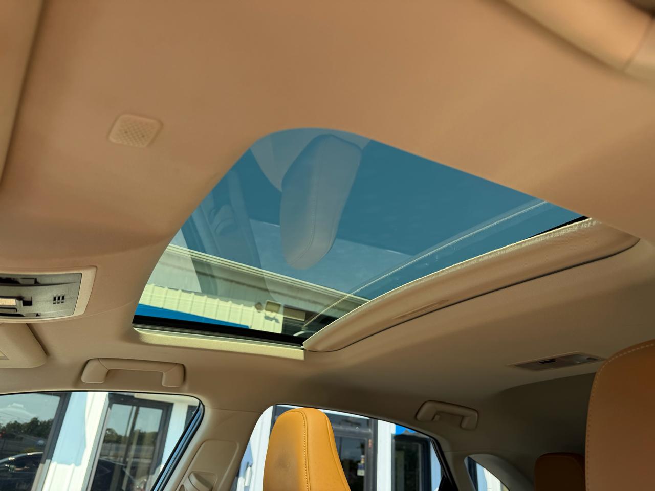 Lexus NX  2021