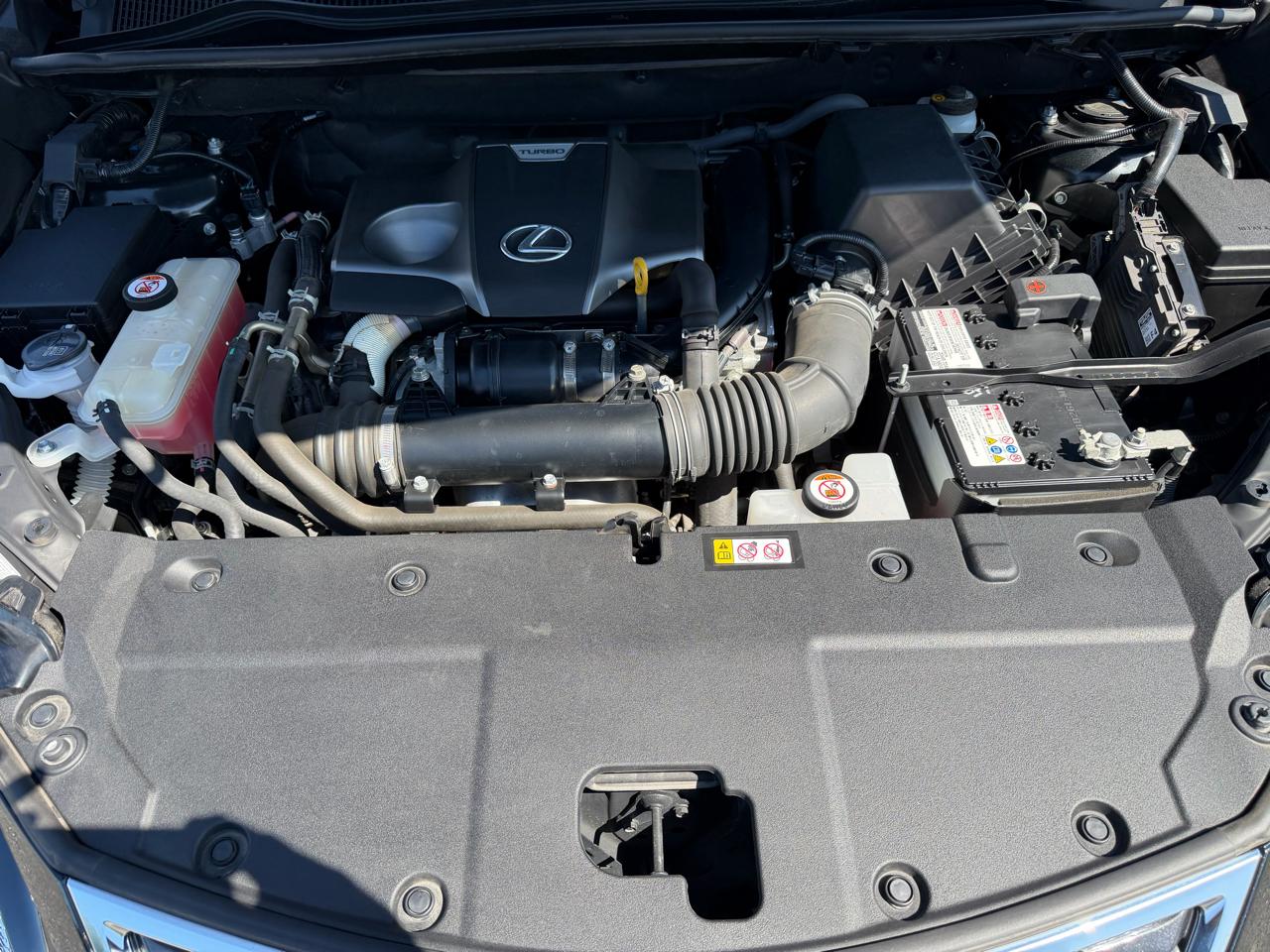 Lexus NX  2021