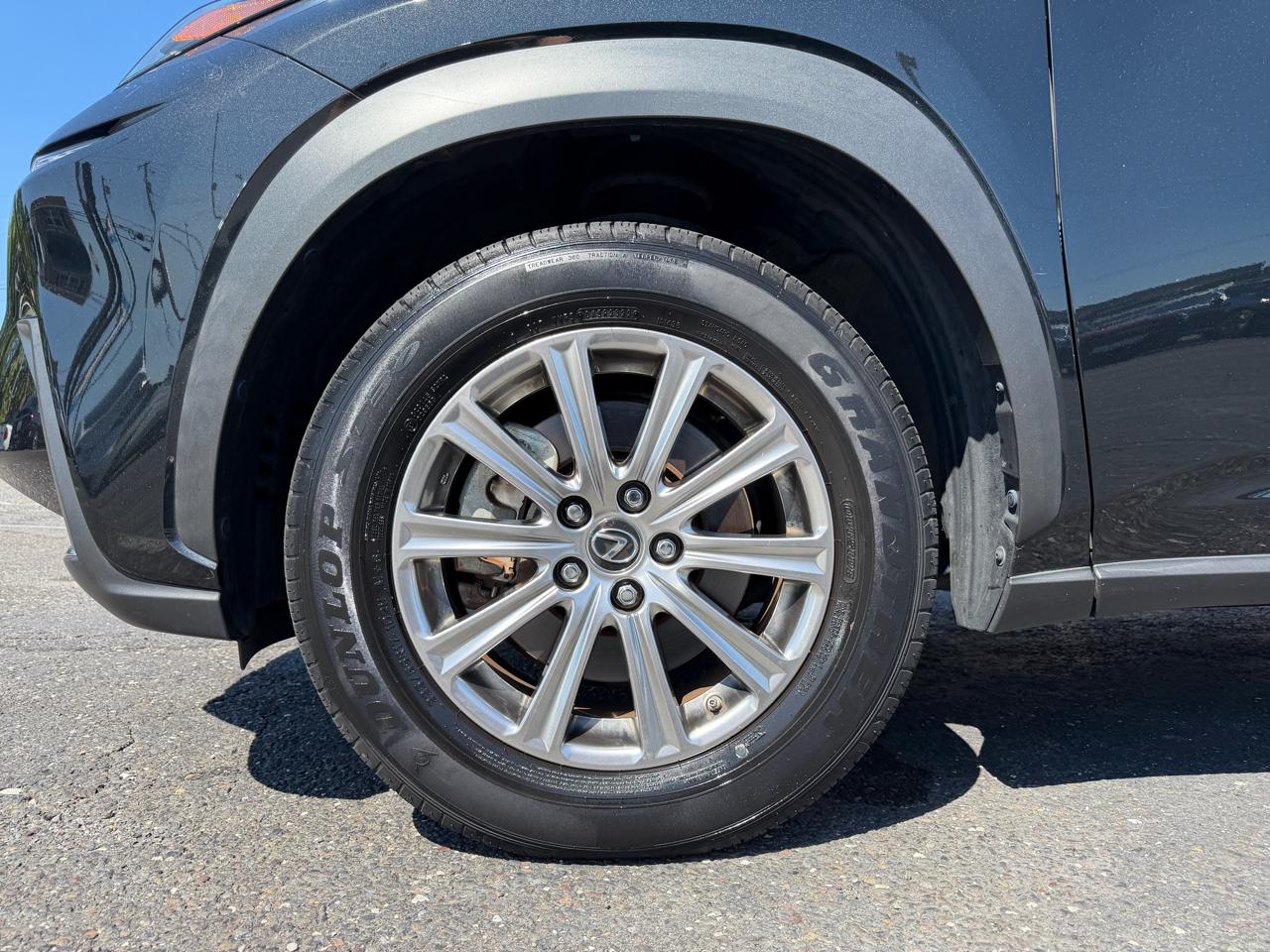 Lexus NX  2021