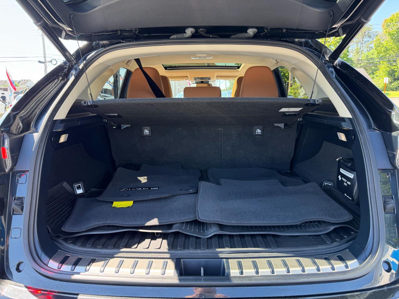 Lexus NX  2021