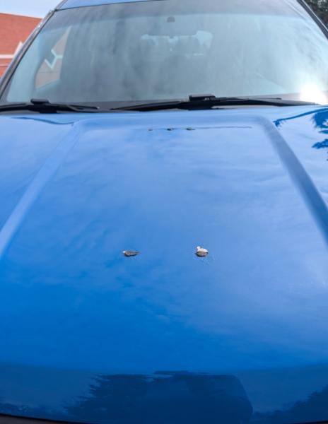 Ford Explorer Police 4WD 2019