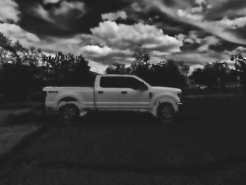 Ford F-250 SD XL Crew Cab 4WD 2019